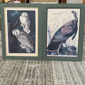 Set of Vintage Wild Turkey & Snowy Owl by John James Audubon 13”x18” each
